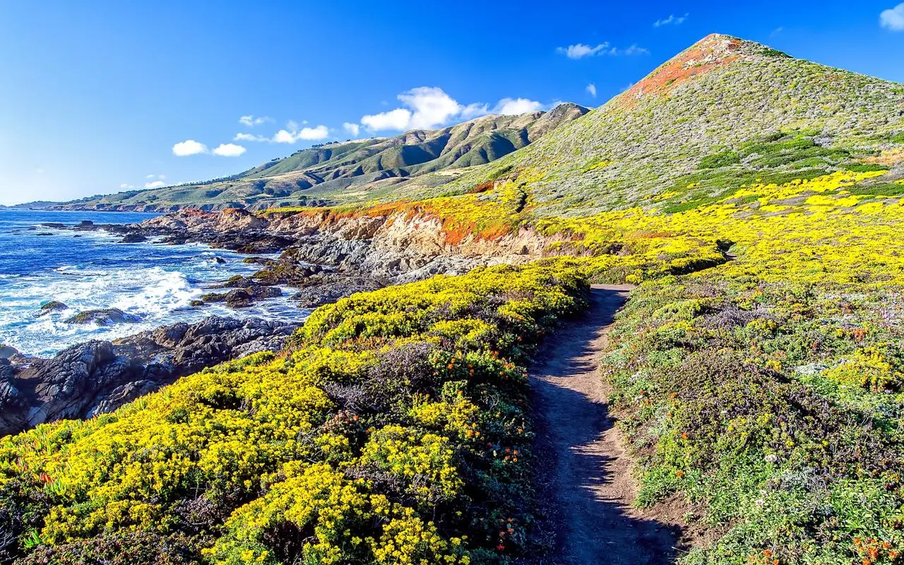 精密信息化高标准